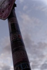 Dresden 2015 (055)