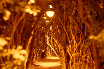 CCCamp 2015 (132)