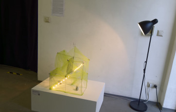 Vernissage Dresdener Sommerakademie 2015 (052)