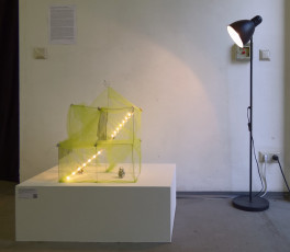 Vernissage Dresdener Sommerakademie 2015 (053)