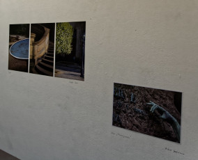 Vernissage Dresdener Sommerakademie 2015 (095)