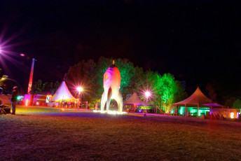 CCCamp 2015 (088)