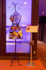 31C3 049 - Die Durchschaubare