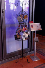 31C3 061 - Die Durchschaubare