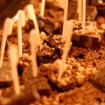 Mamming Danke-Event (104)