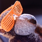 Julianes Geburtstagsparty (081)