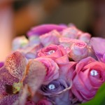 Hochzeit 2015-09 – Bianka und Martin (011)