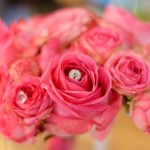 Hochzeit 2015-09 – Bianka und Martin (027)