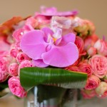 Hochzeit 2015-09 – Bianka und Martin (057)