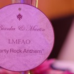 Hochzeit 2015-09 – Bianka und Martin (303)