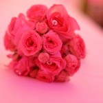 Hochzeit 2015-09 – Bianka und Martin (306)