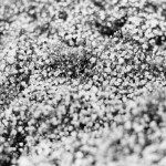 Hochzeit 2015-09 – Bianka und Martin analog (030)