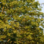 Hochzeit – Karolina und Johannes (406)