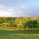 Hochzeit – Karolina und Johannes (407)